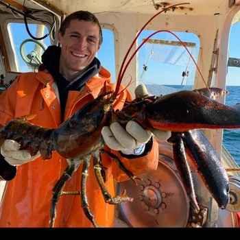 Bildquelle: ©Jacob Knowles Bildquelle: ©Jacob Knowles